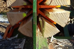 Bild-13