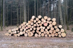 Bild-15