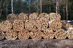 Bild-20
